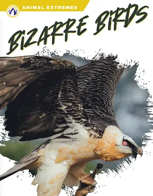 Dziwaczne ptaki - Bizarre Birds