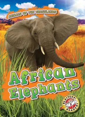 Słonie afrykańskie - African Elephants