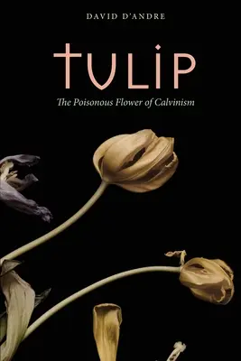 Tulipan: Trujący kwiat kalwinizmu - Tulip: The Poisonous Flower of Calvinism