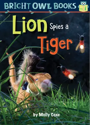 Lew szpieguje tygrysa - Lion Spies a Tiger