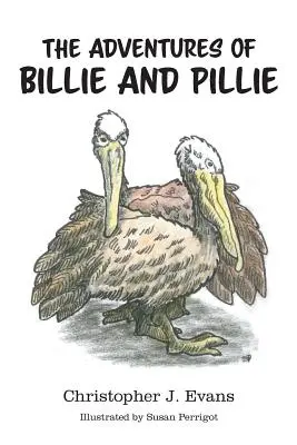 Przygody Billie i Pillie - The Adventures of Billie and Pillie