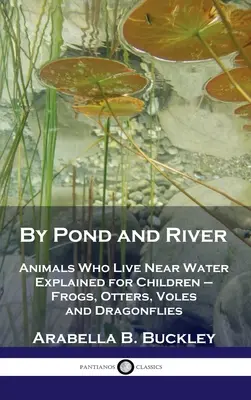 Nad stawem i rzeką: Zwierzęta żyjące w pobliżu wody wyjaśnione dla dzieci - żaby, wydry, norniki i ważki - By Pond and River: Animals Who Live Near Water Explained for Children - Frogs, Otters, Voles and Dragonflies