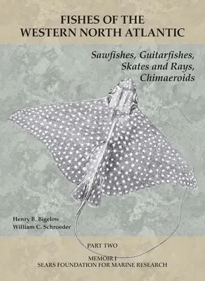 Sawfishes, Guitarfishes, Skates and Rays, Chimaeroids: Część 2 - Sawfishes, Guitarfishes, Skates and Rays, Chimaeroids: Part 2