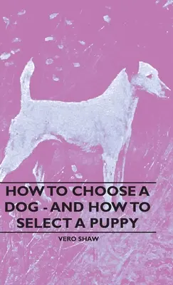 Jak wybrać psa - i jak wybrać szczeniaka - How To Choose A Dog - And How To Select A Puppy