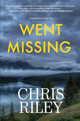 Went Missing: Powieść Sama Nolana - Went Missing: A Sam Nolan Novel