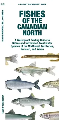 Ryby kanadyjskiej północy: Wodoodporny składany przewodnik po rodzimych i introdukowanych gatunkach słodkowodnych Terytoriów Północno-Zachodnich, Nunavut i Jukonu - Fishes of the Canadian North: A Waterproof Folding Guide to Native and Introduced Freshwater Species of the Northwest Territories, Nunavut and Yukon