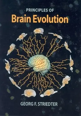 Zasady ewolucji mózgu - Principles of Brain Evolution