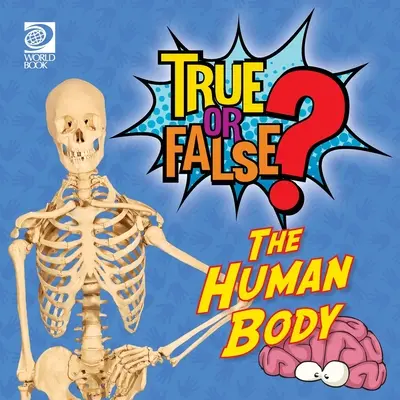 Prawda czy fałsz? Ludzkie ciało - True or False? The Human Body