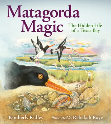 Matagorda Magic: Ukryte życie teksańskiej zatoki - Matagorda Magic: The Hidden Life of a Texas Bay