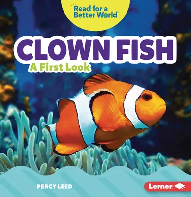 Błazenek: Pierwsze spojrzenie - Clown Fish: A First Look