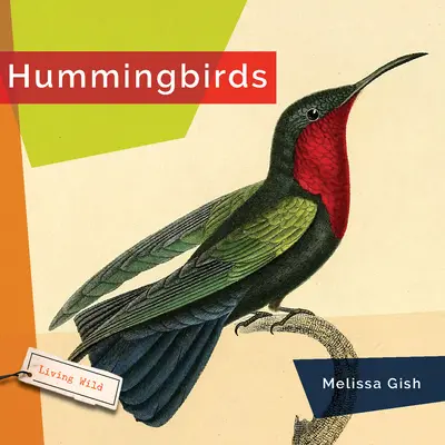 Kolibry - Hummingbirds