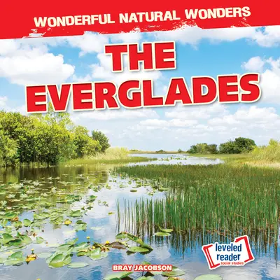 Everglades - The Everglades