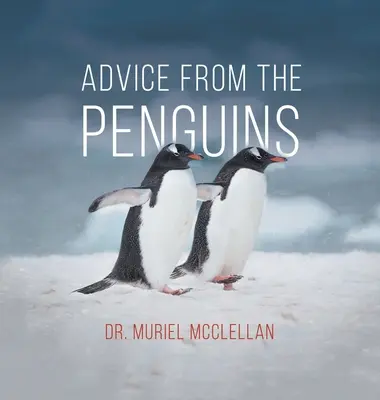 Porady od pingwinów - Advice from the Penguins