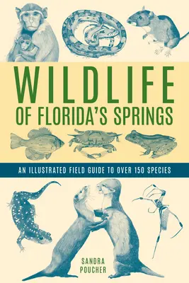 Wildlife of Florida's Springs: Ilustrowany przewodnik terenowy po ponad 150 gatunkach - Wildlife of Florida's Springs: An Illustrated Field Guide to Over 150 Species