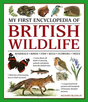 Moja pierwsza encyklopedia brytyjskiej dzikiej przyrody: Ssaki, ptaki, ryby, owady, kwiaty, drzewa - My First Encylopedia of British Wildlife: Mammals, Birds, Fish, Bugs, Flowers, Trees