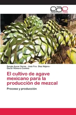 Uprawa agawy meksykańskiej do produkcji mezcalu - El cultivo de agave mexicano para la produccin de mezcal