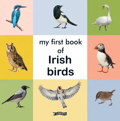 Moja pierwsza książka o irlandzkich ptakach - My First Book of Irish Birds