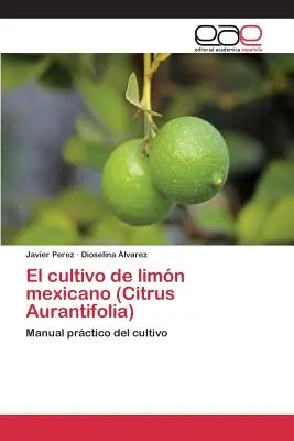 Uprawa limonki meksykańskiej (Citrus Aurantifolia) - El cultivo de limn mexicano (Citrus Aurantifolia)