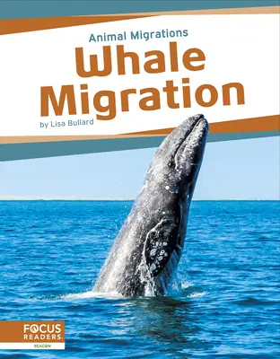 Migracja wielorybów - Whale Migration