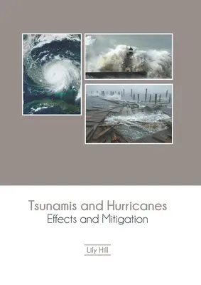 Tsunami i huragany: Skutki i łagodzenie skutków - Tsunamis and Hurricanes: Effects and Mitigation