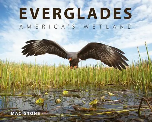 Everglades: Amerykańskie mokradła - Everglades: America's Wetland
