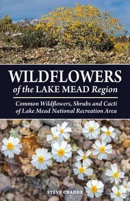 Dzikie kwiaty regionu jeziora Mead - Wildflowers of the Lake Mead Region