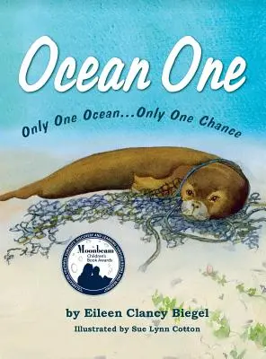 Ocean One: Tylko jeden ocean... tylko jedna szansa - Ocean One: Only One Ocean...Only One Chance