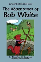 Przygody Boba White'a - The Adventures of Bob White