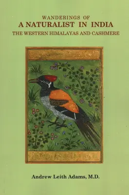 Wędrówki przyrodnika po Indiach, Himalajach Zachodnich i Kaszmirze - Wanderings of a Naturalist in India, the Western Himalayas and Cashmere