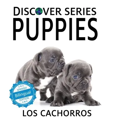 Szczeniaki / Los cachorros - Puppies / Los cachorros