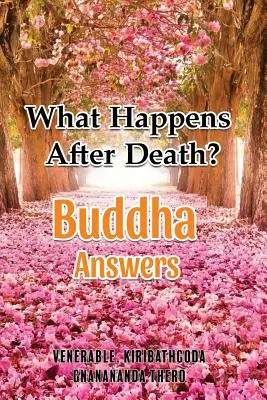 Co dzieje się po śmierci - odpowiedzi Buddy - What Happens After Death-Buddha Answers