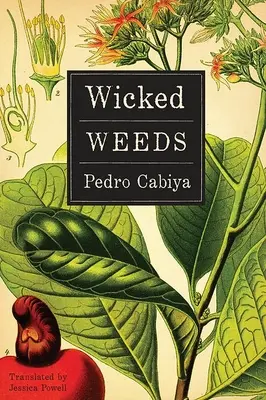 Wicked Weeds: Powieść o zombie - Wicked Weeds: A Zombie Novel