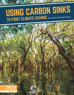 Wykorzystanie pochłaniaczy dwutlenku węgla w walce ze zmianami klimatu - Using Carbon Sinks to Fight Climate Change