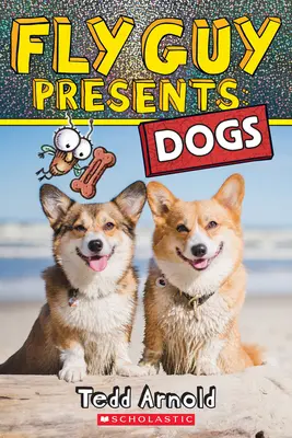 Muchomorek przedstawia: Psy - Fly Guy Presents: Dogs