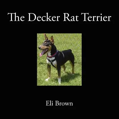 Decker Rat Terrier - The Decker Rat Terrier