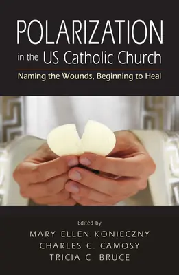 Polaryzacja w amerykańskim Kościele katolickim: Nazywanie ran, początek leczenia - Polarization in the US Catholic Church: Naming the Wounds, Beginning to Heal