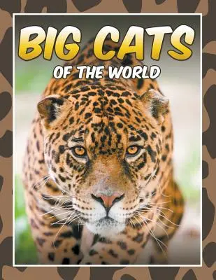 Wielkie koty świata - Big Cats of the World