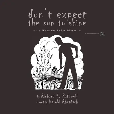 Nie oczekuj, że zaświeci słońce - Don't Expect the Sun to Shine