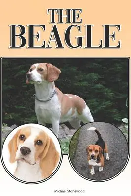 The Beagle: Kompletny i kompleksowy przewodnik dla początkujących: Zakup, posiadanie, zdrowie, pielęgnacja, szkolenie, posłuszeństwo, zrozumienie - The Beagle: A Complete and Comprehensive Beginners Guide To: Buying, Owning, Health, Grooming, Training, Obedience, Understanding