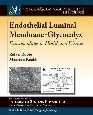 Śródbłonkowa błona komórkowa - glikokaliks: funkcje w zdrowiu i chorobie - Endothelial Luminal Membrane-Glycocalyx: Functionalities in Health and Disease