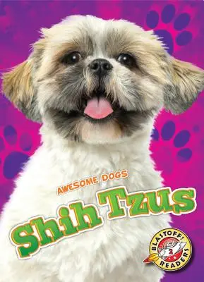 Shih tzus - Shih Tzus