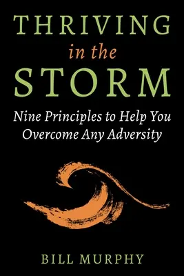 Thriving in the Storm: Dziewięć zasad, które pomogą ci pokonać wszelkie przeciwności losu - Thriving in the Storm: Nine Principles to Help You Overcome Any Adversity