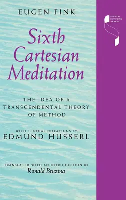 Szósta medytacja kartezjańska: Idea transcendentalnej teorii metody - Sixth Cartesian Meditation: The Idea of a Transcendental Theory of Method