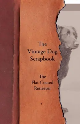 The Vintage Dog Scrapbook - Retriever o płaskim umaszczeniu - The Vintage Dog Scrapbook - The Flat Coated Retriever