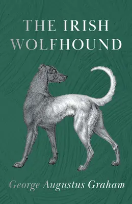 Wilczarz irlandzki - The Irish Wolfhound