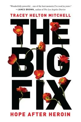 Wielka naprawa: nadzieja po heroinie - The Big Fix: Hope After Heroin