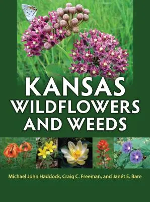 Dzikie kwiaty i chwasty Kansas - Kansas Wildflowers and Weeds