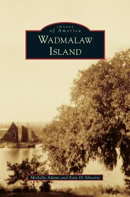 Wyspa Wadmalaw - Wadmalaw Island