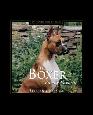 Bokser: ulubieniec rodziny - The Boxer: Family Favorite