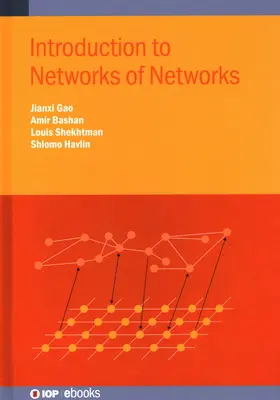 Wprowadzenie do sieci sieci - Introduction to Network of Networks